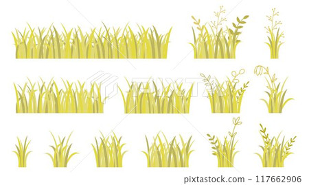 Autumn withered grass with wild flowers and herbs set Autumn withered grass with wild flowers and herbs set 117662906
