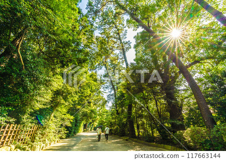 Samukawa cityscape in Japan, overlooking Samukawa Shrine, the first shrine in Sagami Province. Full of greenery and mysterious... = July 21, 2024 117663144