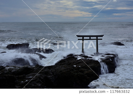 Kamirin of Oarai 117663832