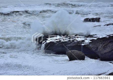 Oarai的Kamirin 117663981