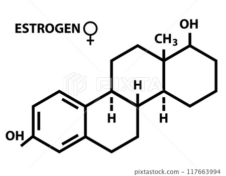 Estrogen icon. Estrogen hormones molecular formula sign. Molecular chemical formula of sex hormone. Estrogen hormone science symbol. Skeletal formula logo. flat style. Estrogen icon. Estrogen hormones molecular formula sign. Molecular chemical formula of sex hormone. Estrogen hormone science symbol. Skeletal formula logo. flat style. 117663994