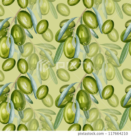 watercolor seamless pattern with branch of green olives with leaves and fruits, hand drawn illustration of olive, green background, for food packaging 117664210