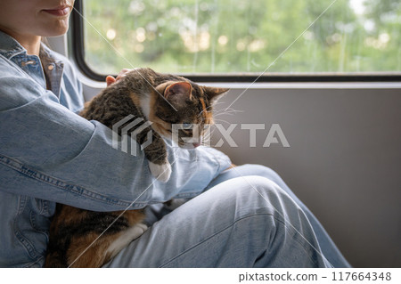 Traveling with pets. Restless cat sits on owner lap due public transportation train ride near window Traveling with pets. Restless cat sits on owner lap due public transportation train ride near window 117664348