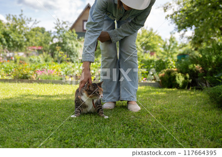 Frightened cat looking around tensely, clinging to green grass. Owner strokes pet tries to calm down 117664395