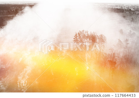 Aerial View. Spring Dry Grass Burns During Drought Hot Weather. Bush Fire And Smoke In Deforestation Zone. Wild Open Fire Destroys Grass. Nature In Danger. Ecological Problem Air Pollution 117664433