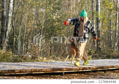 Laughing and playful woman in warm clothes and hat walking and fooling around with dog in forest 117664446