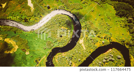 Aerial View Green Forest Woods And River Landscape In Sunny Spring Summer Day. Top View Of Beautiful European Nature From High Attitude In Autumn Season. Drone View. Bird's Eye View 117664475