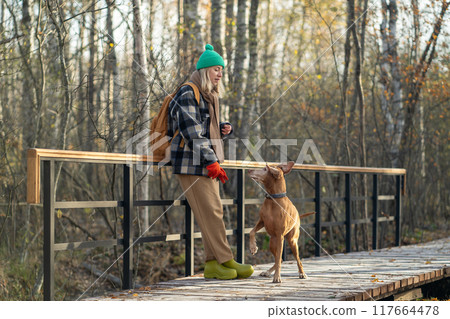 Woman psychologist stands on nature trail, training, playing with vizsla dog, giving commands. Woman psychologist stands on nature trail, training, playing with vizsla dog, giving commands. 117664478