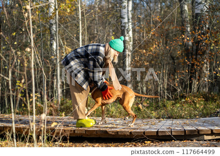 Happy female traveler, cheerful dog hugging standing on eco-trail in forest on golden setting sun. 117664499