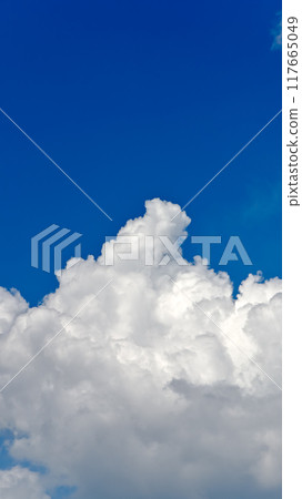 Empty material (vertical composition) 117665049