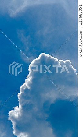 Empty material (vertical composition) 117665051
