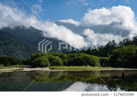 夏季的上高地、大正池/長野縣 夏季的上高地、大正池/長野縣 117665090
