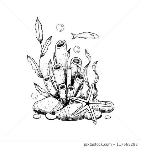 Sea composition with corals, stones, starfish. Underwater world. Vector illustration isolated on white background. Sea composition with corals, stones, starfish. Underwater world. Vector illustration isolated on white background. 117665288