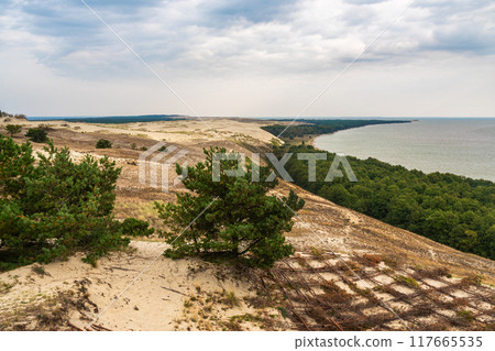 View of Cape Grabst from observation deck on Olenya Buda dunes. Curonian Spit National Park. Russia View of Cape Grabst from observation deck on Olenya Buda dunes. Curonian Spit National Park. Russia 117665535