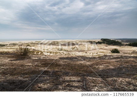 View of Dune Ridge and Curonian Lagoon from Efa height in Curonian spit national Park. Russia View of Dune Ridge and Curonian Lagoon from Efa height in Curonian spit national Park. Russia 117665539