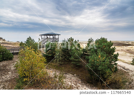 Observation deck on Efa height with overview of Dune Ridge and Curonian Lagoon in Curonian spit national Park. Russia Observation deck on Efa height with overview of Dune Ridge and Curonian Lagoon in Curonian spit national Park. Russia 117665540