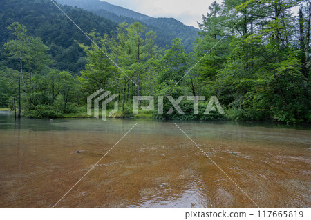 夏季的上高地,田代池/長野縣 夏季的上高地,田代池/長野縣 117665819
