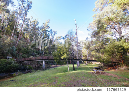 Blackwood Mineral Springs in Victoria Australia Blackwood Mineral Springs in Victoria Australia 117665829