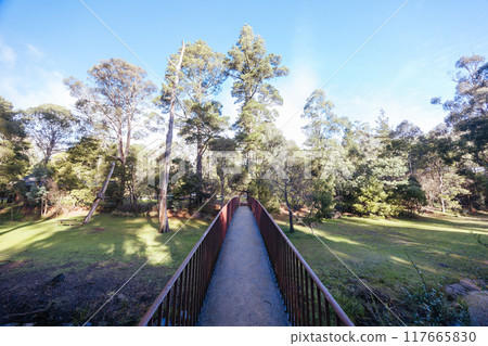 Blackwood Mineral Springs in Victoria Australia Blackwood Mineral Springs in Victoria Australia 117665830