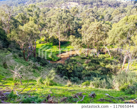 Plenty Gorge Parklands in Australia Plenty Gorge Parklands in Australia 117665844