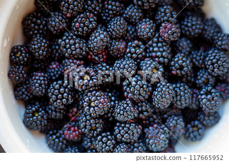 Blackberry. Black berries close-up. Food on a plate.. Black berries close-up. Food on a plate 117665952