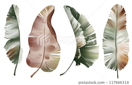 Watercolor set banana leaf isolated on white background. Tropical botanical plant. Hand-drawn Illustration foliage isolated for cards, invitations, weddings and other. Floral element palm leave. Watercolor set banana leaf isolated on white background. Tropical botanical plant. Hand-drawn Illustration foliage isolated for cards, invitations, weddings and other. Floral element palm leave. 117666318