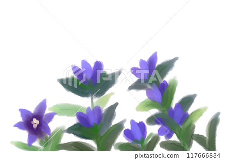 Gentian flower card 2 117666884