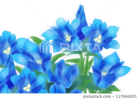 Gentian flower card 3 117666885