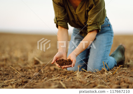 Close-up of a woman farmer's hands with black soil in an agricultural field. Ecology concept. Close-up of a woman farmer's hands with black soil in an agricultural field. Ecology concept. 117667210