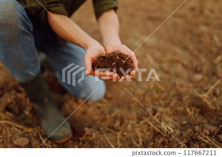Close-up of a woman farmer's hands with black soil in an agricultural field. Ecology concept. Close-up of a woman farmer's hands with black soil in an agricultural field. Ecology concept. 117667211