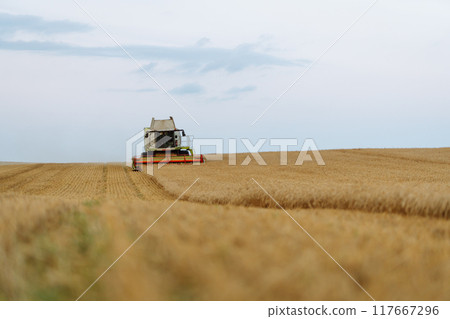 Modern industrial combine harvester harvests wheat cereals on a summer day. Rich harvest concept. Modern industrial combine harvester harvests wheat cereals on a summer day. Rich harvest concept. 117667296