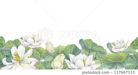 Blooming white and pink lotus flowers thickets horizontal seamless banner. Water lily buds and green seed pods watercolor realistic illustration. Pattern or package, celebration decor, textile 117667313