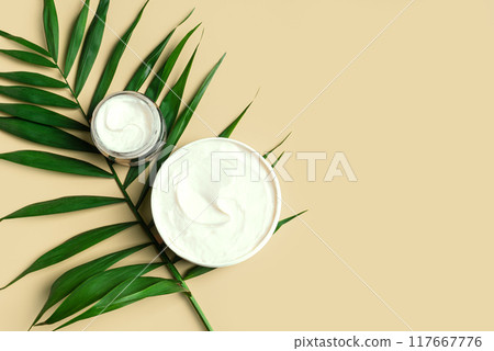 Natural skin care products and palm leaf Natural skin care products and palm leaf 117667776