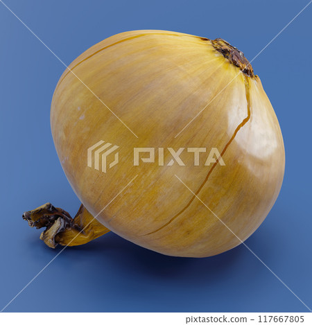 Whole Yellow Onion 3D Illustration on Blue Background 117667805