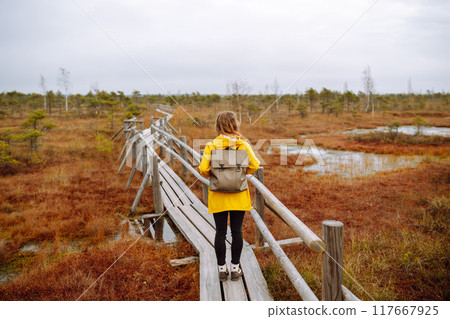 Woman traveler in a yellow coat walks along a wooden walking path along the wetlands. Back view. 117667925