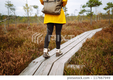 Close-up of legs in boots of woman tourist walking along wooden path against backdrop of wildlife Close-up of legs in boots of woman tourist walking along wooden path against backdrop of wildlife 117667949