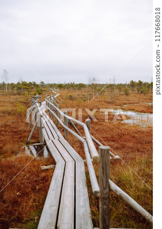 Scenic view of wooden trail through wetlands. Hiking trail for active recreation. 117668018