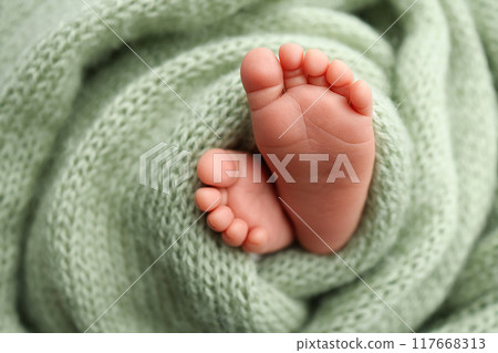 The tiny foot of a newborn. Soft feet of a newborn in a olive green woolen blanket. Close up of toes, heels and feet of a newborn baby. Studio Macro photography. Woman's happiness. The tiny foot of a newborn. Soft feet of a newborn in a olive green woolen blanket. Close up of toes, heels and feet of a newborn baby. Studio Macro photography. Woman's happiness. 117668313