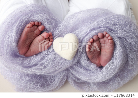 Feet of newborn twins. Two pairs of baby feet in a blue lilac blanket. White knitted heart. Close up - toes, heels and feet of a newborn Newborn twins brothers, sisters. Studio macro photograph.  117668314