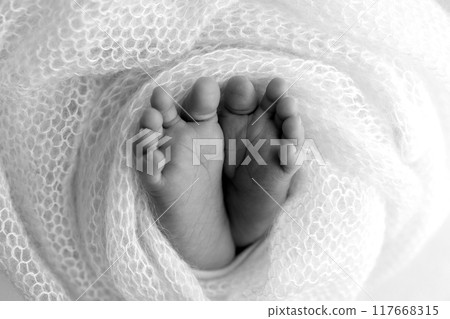 Foot of a newborn. Close up feet, toes, heels, feet of a newborn baby. Studio monochrome, vintage style, black and white macro photography. Foot of a newborn. Close up feet, toes, heels, feet of a newborn baby. Studio monochrome, vintage style, black and white macro photography. 117668315