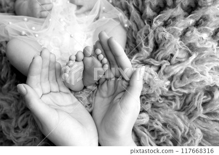 The palms of the parents. A father and mother hold the feet of a newborn child in a flakatty. The feet of a newborn in the hands of parents. Black and white Photo of foot, heels and toes The palms of the parents. A father and mother hold the feet of a newborn child in a flakatty. The feet of a newborn in the hands of parents. Black and white Photo of foot, heels and toes 117668316
