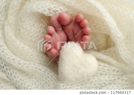 The tiny foot of a newborn baby. Soft feet of a new born in a white wool blanket. Close up of toes, heels and feet of a newborn. Knitted white heart in the legs of a baby. Macro photography. The tiny foot of a newborn baby. Soft feet of a new born in a white wool blanket. Close up of toes, heels and feet of a newborn. Knitted white heart in the legs of a baby. Macro photography. 117668317