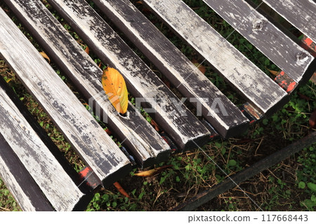 Decolorization of the bench Decolorization of the bench 117668443