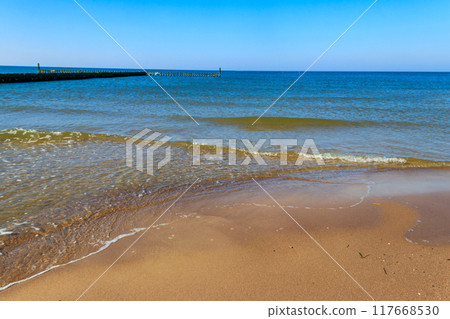 Wooden breakwater in the Baltic sea, Poland 117668530