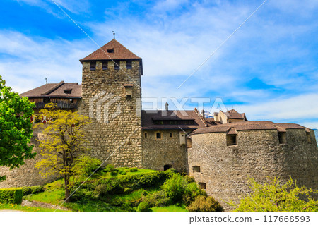 Medieval castle in Vaduz, Liechtenstein, Europe Medieval castle in Vaduz, Liechtenstein, Europe 117668593