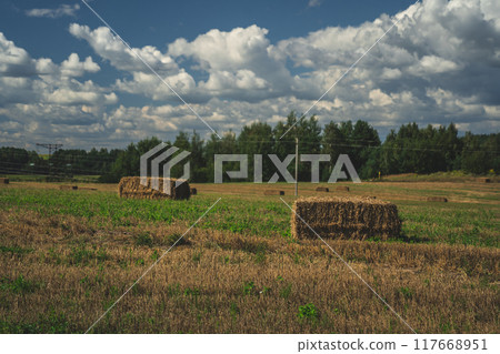 Rectangular haystacks on the field. Haystack after harvesting. Thick clouds 117668951
