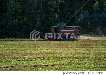 The harvester is working in the field. The combine harvester harvests wheat 117668994