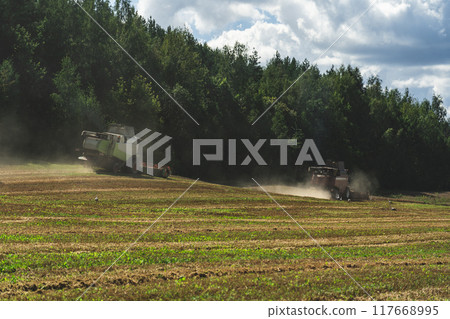 Two combines are working in the field, harvesting crops. Combines collect grain Two combines are working in the field, harvesting crops. Combines collect grain 117668995