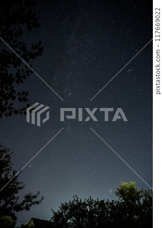 The Milky Way. The starry sky. The crown of the tree on the right in the corner 117669022