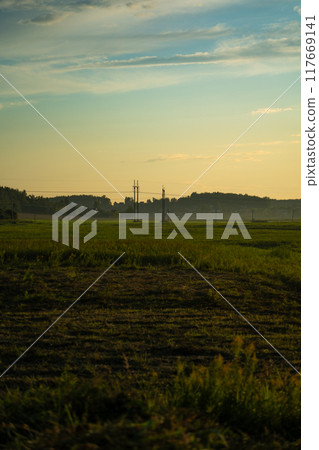 View of the field in the evening in the village. The clouds 117669141